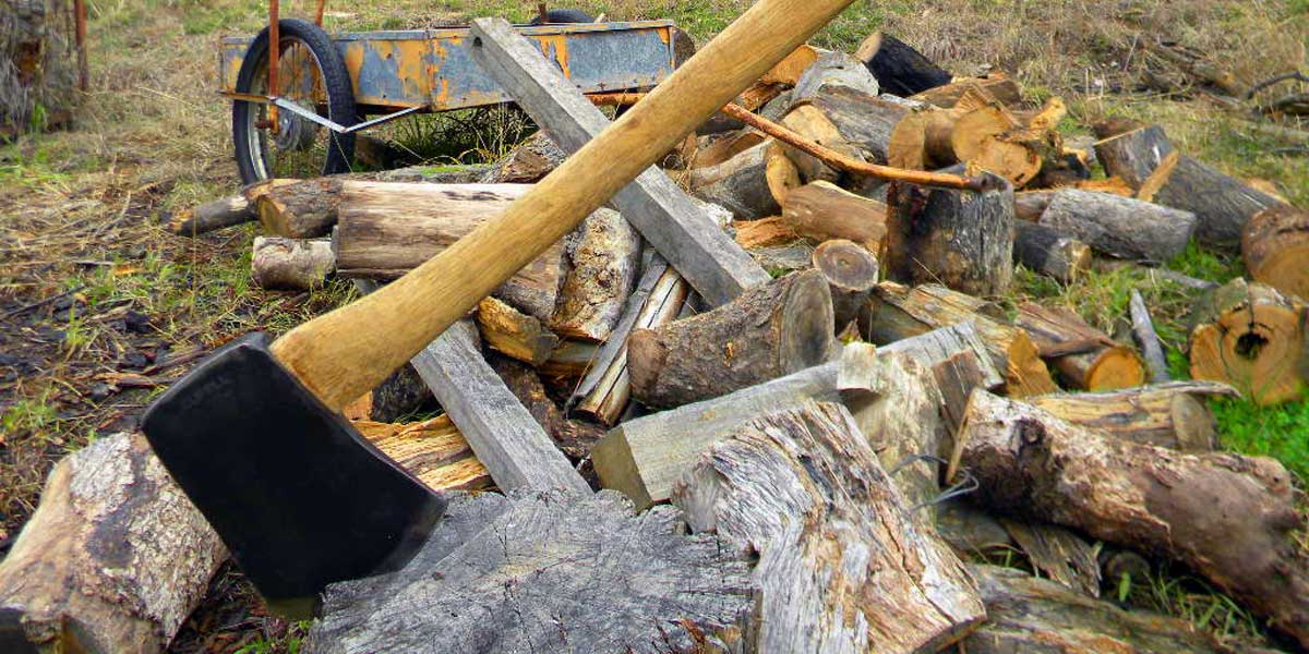 Worshiping the Wood Pile