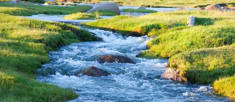 Continual Praise in the stream of real life